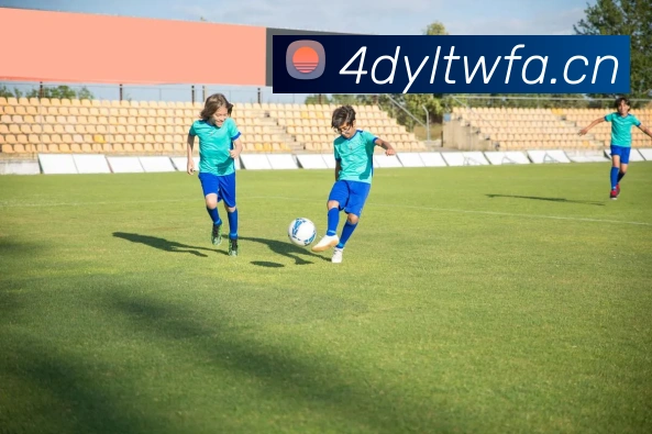 星空链接官网服务体系